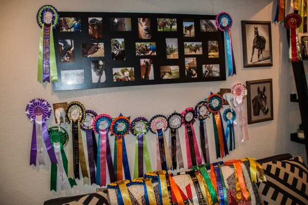 horse show ribbons