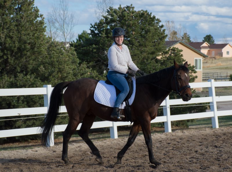 my weekly riding lesson