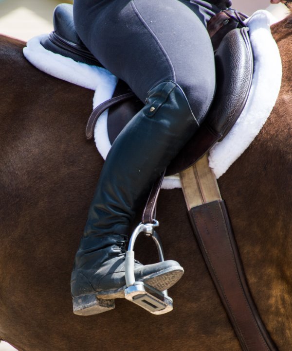 my weekly riding lesson