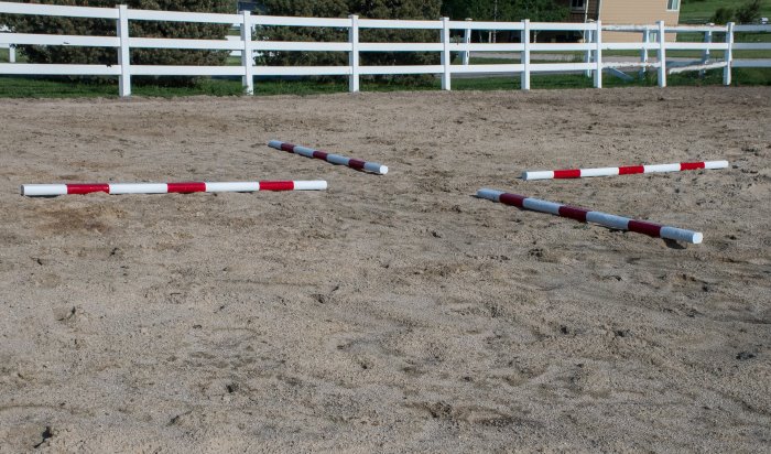 my weekly riding lesson