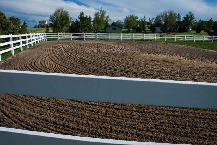 my weekly riding lesson