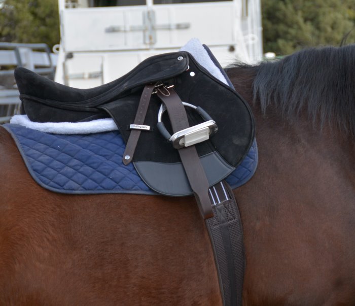 Collegiate Bicton Synthetic Saddle Review