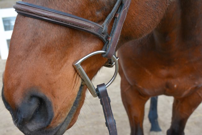 Centaur Blue Steel D Ring Bit