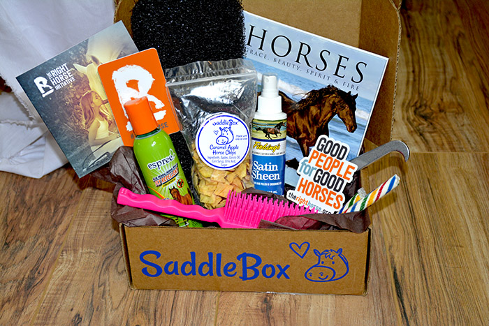 Saddle Box Unboxing