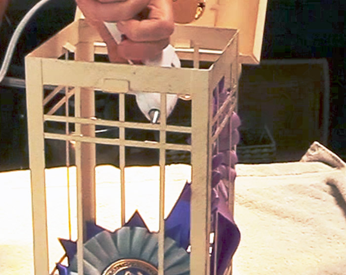How To Display Horse Show Ribbons