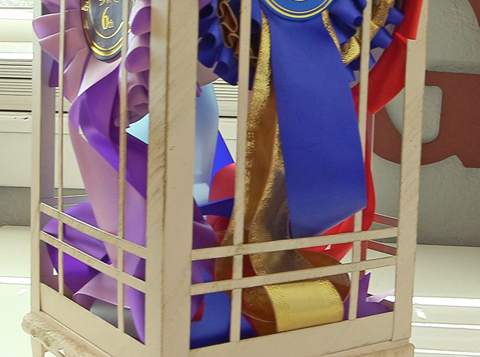 How To Display Horse Show Ribbons