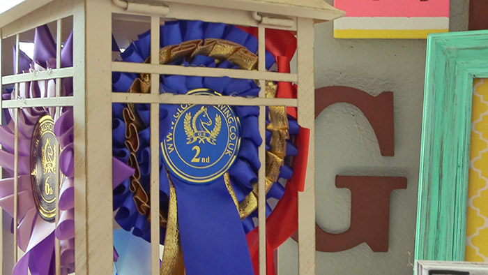 How To Display Horse Show Ribbons