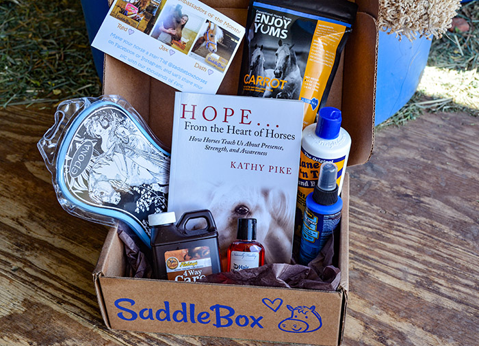 June Saddle Box Unboxing