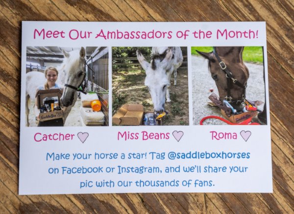 July 2018 Saddle Box Review