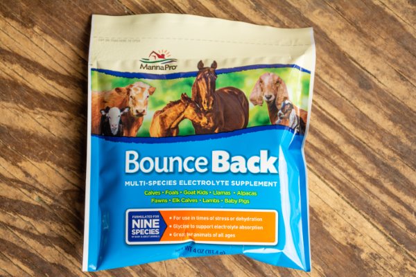 July 2018 Saddle Box Review