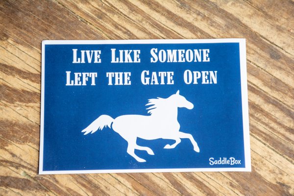 July 2018 Saddle Box Review