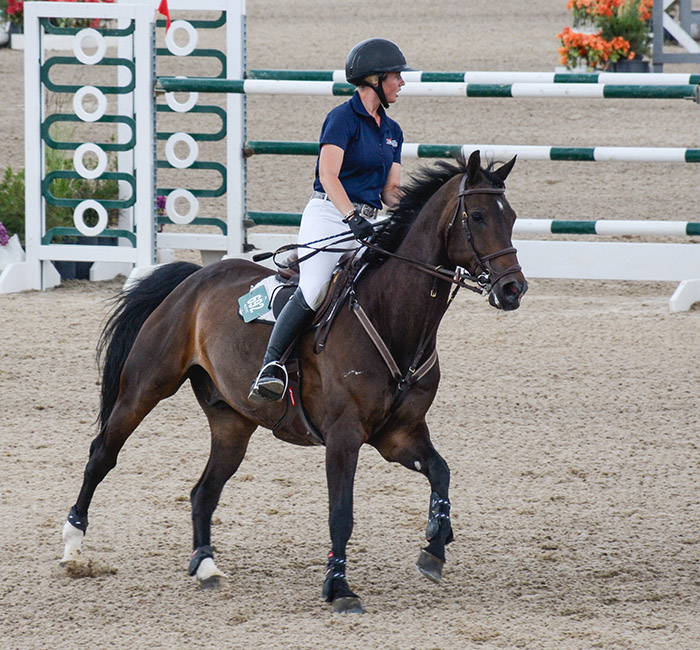 Capturing Moments At A Horse Show