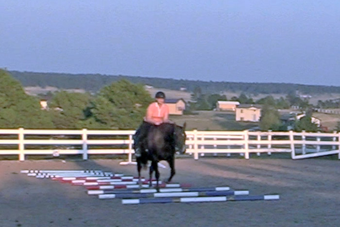 Don't Get Bored While Walking With Your Horse