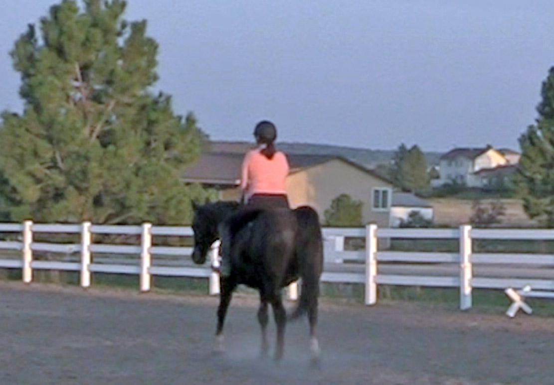 Don't Get Bored While Walking With Your Horse