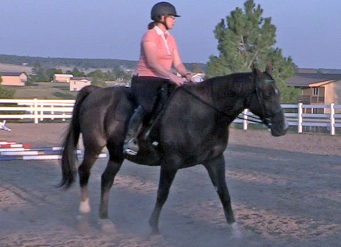 Don't Get Bored While Walking With Your Horse