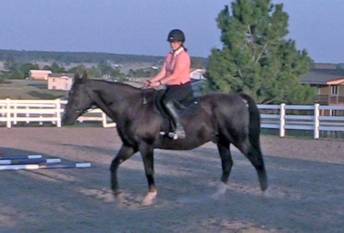 Don't Get Bored While Walking With Your Horse