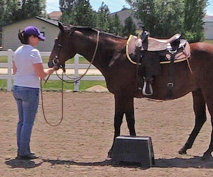 Getting Your Horse To Stand Still For Mounting