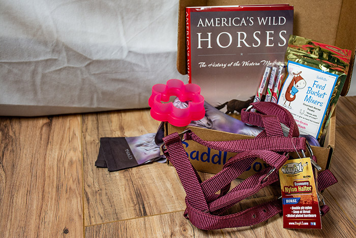 August Saddle Box Unboxing