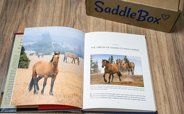 August Saddle Box Unboxing