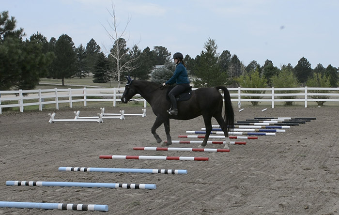 Using Ground poles In Your Arena For Confident Riding