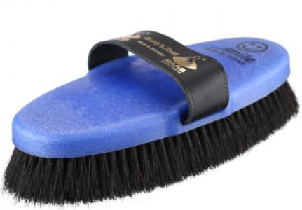 The Ulitmate guide to horse grooming tools