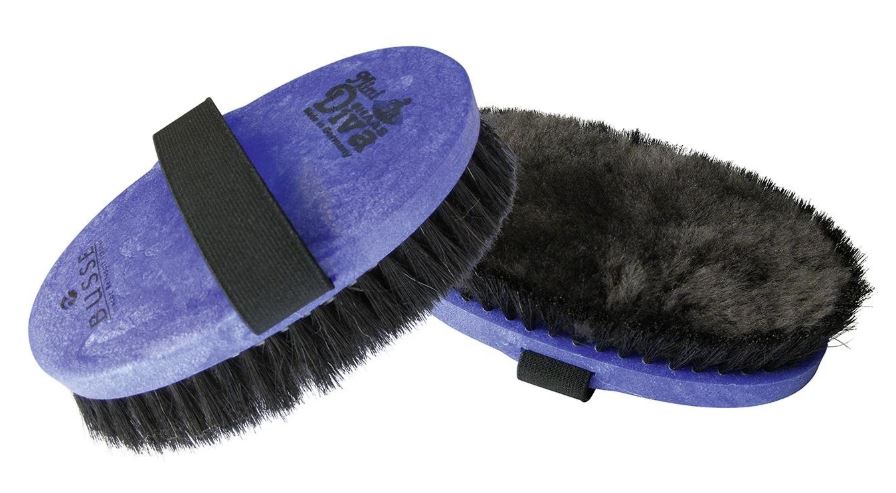 Ultimate Guide to horse grooming tools