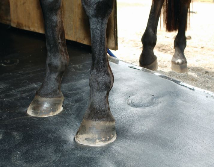 Mega Millions Jackpot $2.00 For A Dream