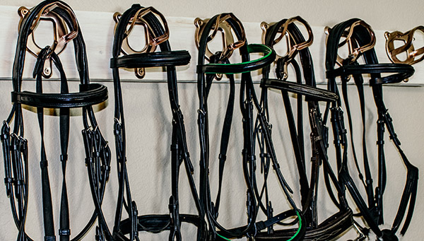  Low Cost Bridle Rack