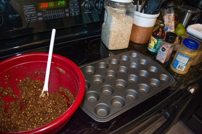 Easy Horse Treats Recipe