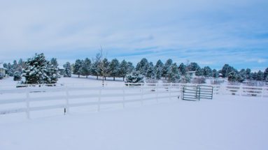 an outdoor riding arena in the winter