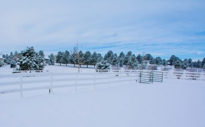 an outdoor riding arena in the winter