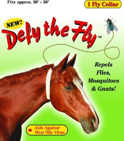 How To Protect Your Horse From Flies