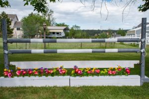 Painting Horse Jump Rails - Budget Equestrian