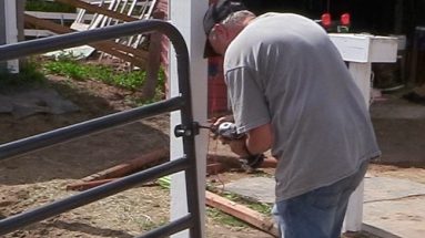 How To DIY Horse Paddocks On A Budget - Budget Equestrian