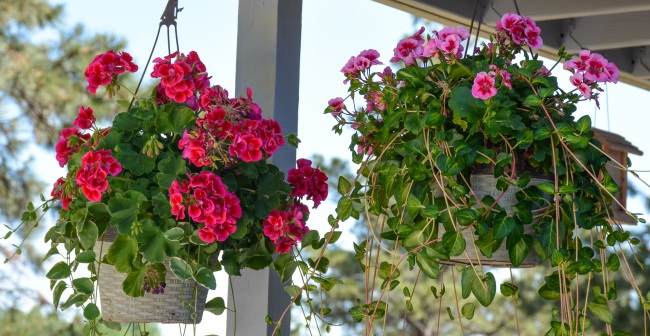 The Never Ending Winter - And Getting Ready For Spring