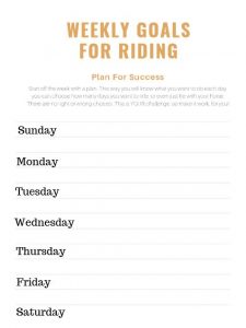 August Real Riding Challenge - Budget Equestrian