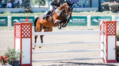 Grand Prix at the Colorado Horse Park