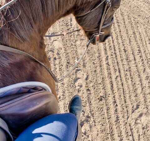 The Benefits of Riding Without Stirrups