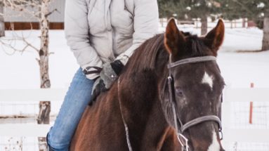 The Budget Equestrian No Stirrups November Challenge