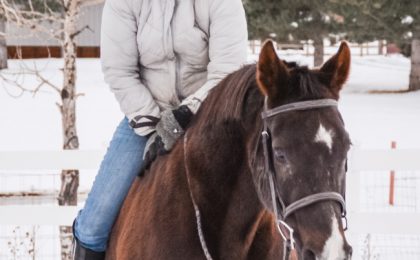 The Budget Equestrian No Stirrups November Challenge