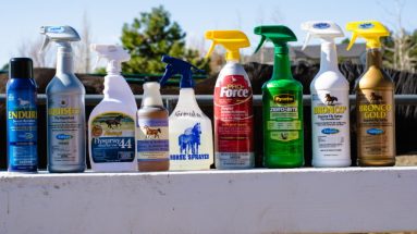 Horse Owner’s Guide to Fly Sprays