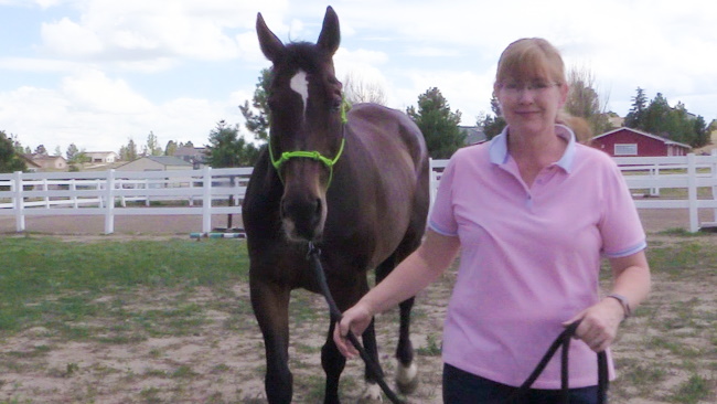 Take Your Horse for a Walk