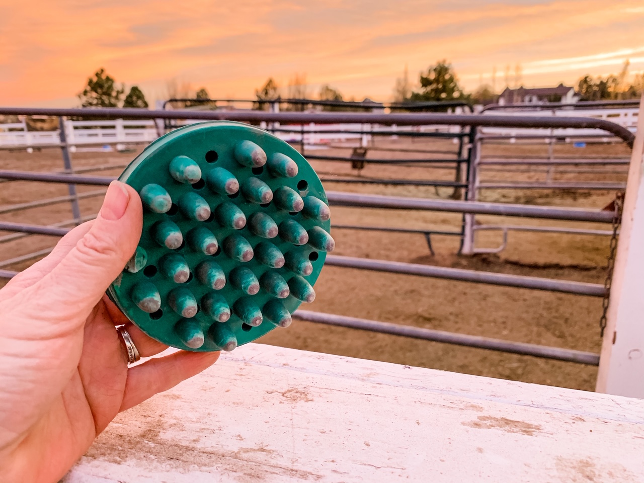Three Things That Make My Horses Happier