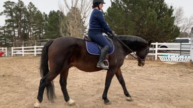 Exercises To Practice Without Stirrups