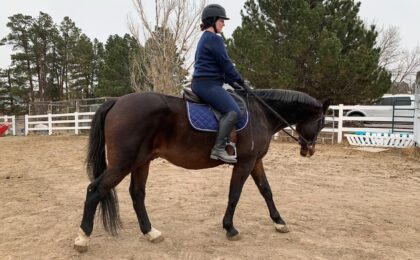 Exercises To Practice Without Stirrups
