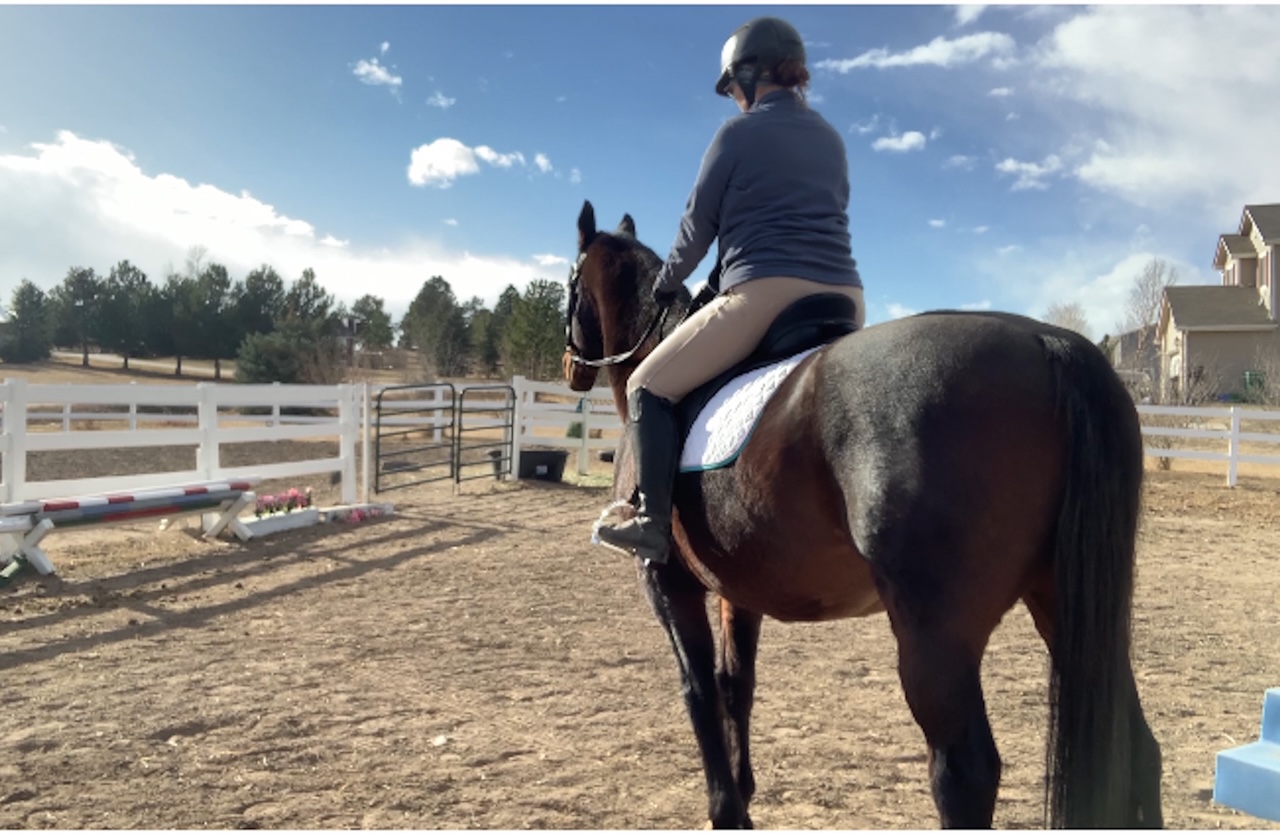 Changing Disciplines -Finding Affordable Horse Tack