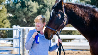 Best Ever Barn Hacks for Equestrians
