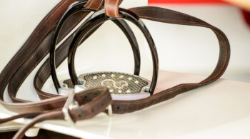 The Budget Equestrian No Stirrups November Challenge