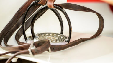The Budget Equestrian No Stirrups November Challenge