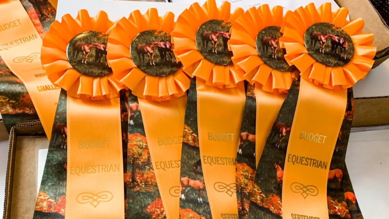 I Bought Some Horse Show Ribbons